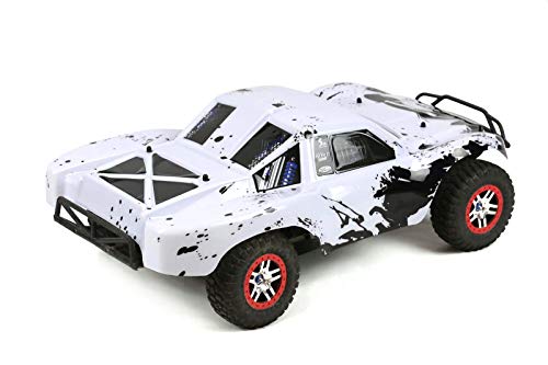 SummitLink Custom Body Eagle Style Compatible for 1/10 Scale RC Car or Truck (Truck not Included) SS-EAG-03