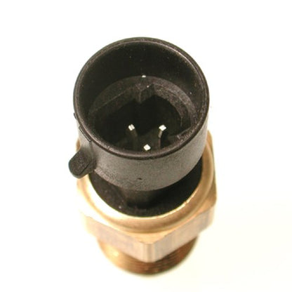 Delphi TS10032 Coolant Temperature Sensor