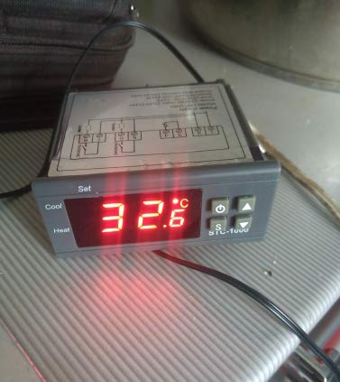 STC-1000 Digital Temperature Controller Digital LED Display DC 110V-220V 10A Celsius Heating Cooling Centigrade Thermostat Sensor 2 Relay Output with NTC 10K Thermistor Sensors Temperature Probe - color: 110V-220V