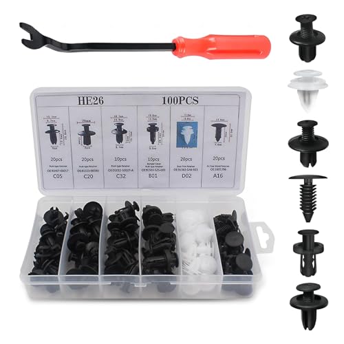 100PCS Car Clips, Bumper Retainer Clips, Car Rivets Fasteners Retainer Kit, Plastic Rivets with 1 Fastener Removers, Door Trim Panel Fender Push Pin Rivets for Most Models