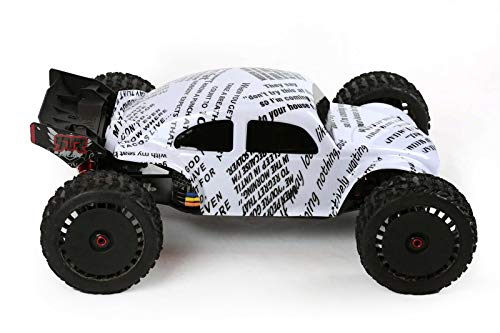 SummitLink Custom Body Compatible for 1/10 1/8 Scale RC Car or Truck (Truck not Included) (Joke) - style: Joke