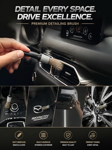 TAKAVU Car Detailing Brush Kit, 10 Piece Boar Hair for Interior | Detail Brushes, Wire Brush & Microfiber Towel for Engine Bay & Auto Interior Cleaning, Vents, Emblems & Trim