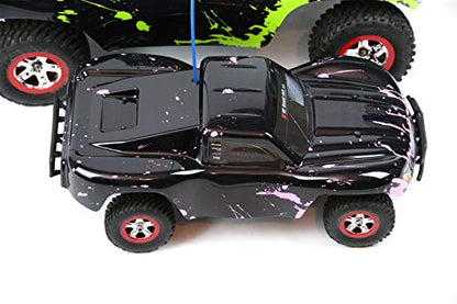 SummitLink Compatible Custom Body Muddy Pink Over Black Replacement for 1/16 Scale RC Car or Truck (Truck not Included) SSMN-BR-01