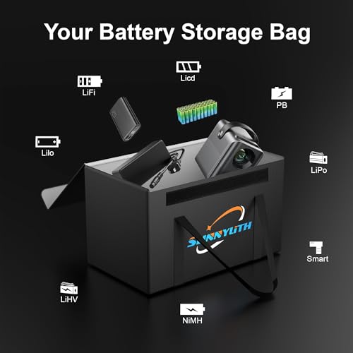 12V 100Ah LiFePO4 Lithium Battery Fireproof Safe Bag, Large Capacity Explosion-Proof Lipo Battery Bag for Charging and Storage,14×9.5×7.8in Waterproof Box Compatible with Litime and ECO - size: 14×9.5×7.8 in