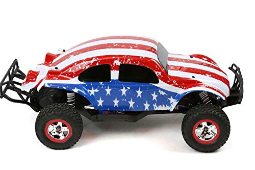 SummitLink Custom Body Flag Strip Style Compatible for 1/10 Scale RC Car or Truck (Truck not Included) SSB-FP-01