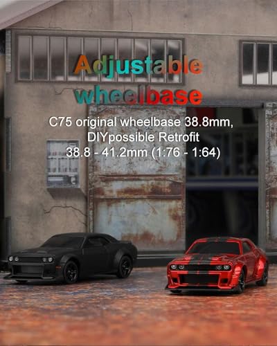 Turbo Racing 1:76 Scale RC Sport Car, 2.4GHZ Remote Control Mini Model Car with Full Proportional RTR for Adults Toys (C75-Red) - style: C75-Red