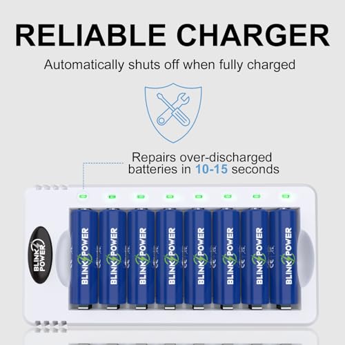 Blinkspower 8 Bay AA AAA Battery Charger, Smart Fast Charging with Independent Charging Slots for NiMH Rechargeable Batteries, USB Type-C, No Adapter