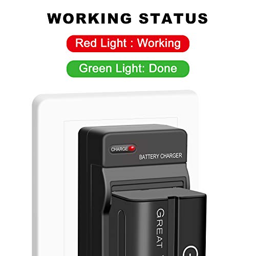 GVM 2 Packs NP-F750 Replacement Batteries 7.2V 4400mAh with Dual Travel Chargers, Compatible with NP-F550/570/750/770/960/970/DCR/DSR/HDR/FDR/HVR/HVL Camera Camcorder LED Video Light Slider Monitor