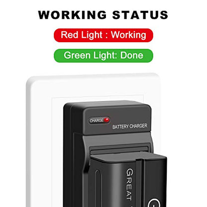 GVM 2 Packs NP-F750 Replacement Batteries 7.2V 4400mAh with Dual Travel Chargers, Compatible with NP-F550/570/750/770/960/970/DCR/DSR/HDR/FDR/HVR/HVL Camera Camcorder LED Video Light Slider Monitor