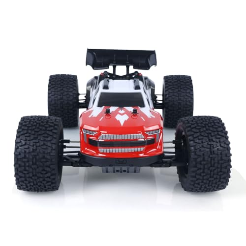 TOUCAN RC HOBBY 1002 1/10 90KM/H High Speed Remote Control Electric Racing Truck 4x4 RC Model Car Metal Oil Filled Shock Absorber No Battery for Ages 18+