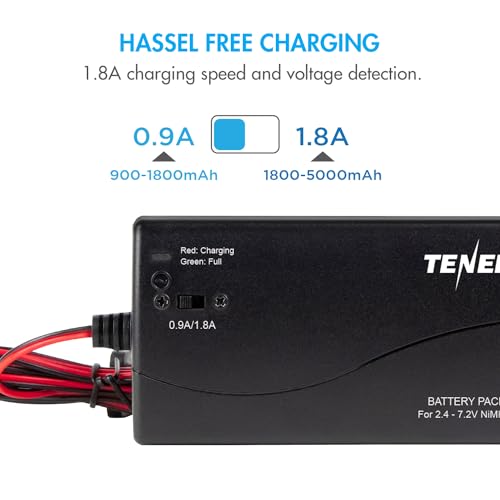 Tenergy 2 Pack 7.2V 3000mAh Flat NiMH Battery Packs with Smart Charger for RC Cars, RC Airplanes