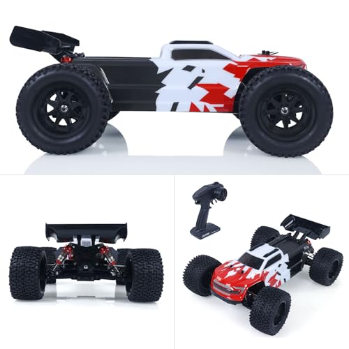 TOUCAN RC HOBBY 1002 1/10 90KM/H High Speed Remote Control Electric Racing Truck 4x4 RC Model Car Metal Oil Filled Shock Absorber No Battery for Ages 18+