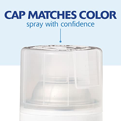 Rust-Oleum 334029 Painter's Touch 2X Ultra Cover Spray Paint, 12 oz, Gloss Clear (Pack of 4) - color: Gloss Clear, size: 12 Ounce (Pack of 4)