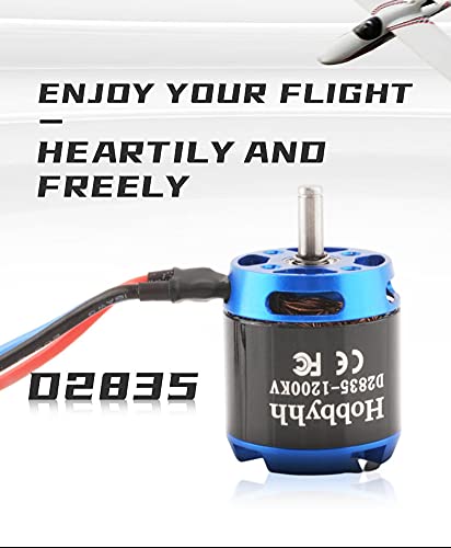 DIAMONDDYNAMICS Hobbyhh D2835 (2216) brushless Motor 1200kv Power 295W with 3.5mm Plug for DIY RC Glider Aircraft Plane and UAV, 2835-1200KV - size: 2835-1200KV