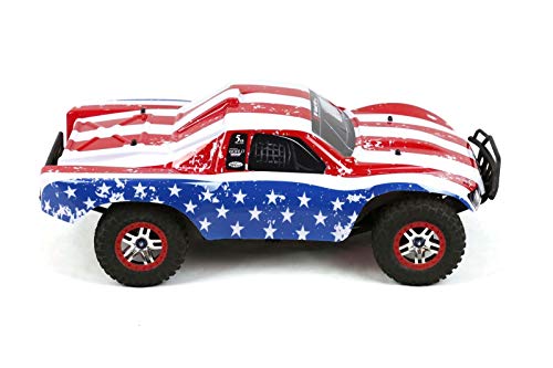 SummitLink Compatible Custom Body Flag Strip Style Replacement for 1/10 Scale RC Car or Truck (Truck not Included) SS-FP-02