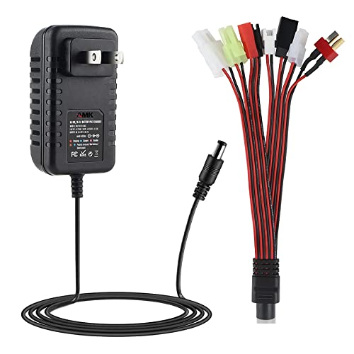 AMK Smart RC Battery Charger for 2.4V-12V NiMH/NiCd Battery Pack, Supports RC Cars, Helicopters, Trucks & More, 8 Different RC Charging Plugs, 12V Output