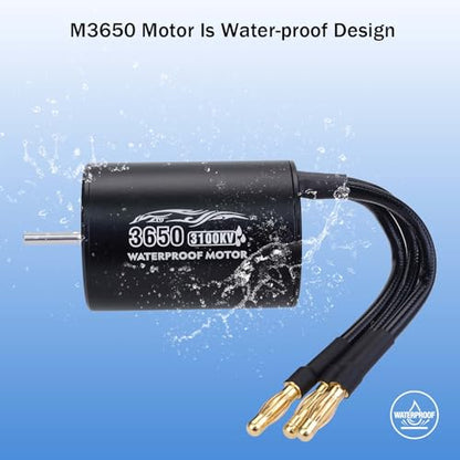 SurpassHobby 3650 3100KV 3.175mm Shaft High Speed Waterproof Motor for Most of 1:10 Scale RC Vehicles Truck Update Parts - size: 3100KV, style: 3650 Motor