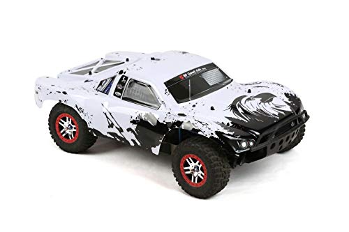 SummitLink Custom Body Eagle Style Compatible for 1/10 Scale RC Car or Truck (Truck not Included) SS-EAG-03