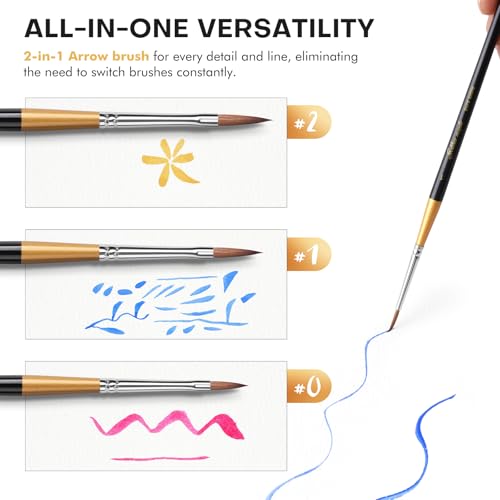 Golden Maple Kolinsky Sable Miniature Paint Brushes, 5PC Professional Detail Paint Brushes Arrow Point Paint Brush Set for Models, Watercolor Details, Figures & Gouache Painting, Black - size: BG32 Arrow Point
