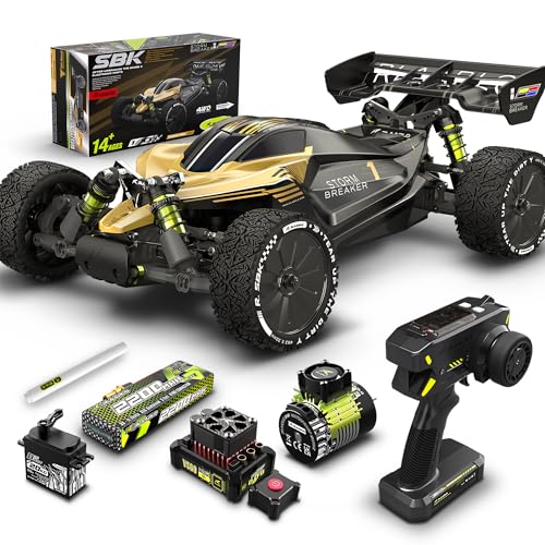 RLAARLO 1/10 Brushless RC Cars, 4×4 Buggy, 50+ MPH, Carbon Fiber, Ages 8+ | 3650-2650KV Brushless Motor, 4WD, 3S LiPo, Alloy Chassis, Sealed Diffs, 20kg Servo, 6CH Radio, Waterproof, All-terrain