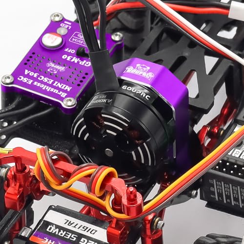 GOUPRC 2204 2400KV Brushless Outrunner Motor with Transmission & 30A Brushless Mini Esc with Pedals for SCX24 Remote Control Crawler Axial 1/24 Remote Control Black Purple - color: Purple & Pedals