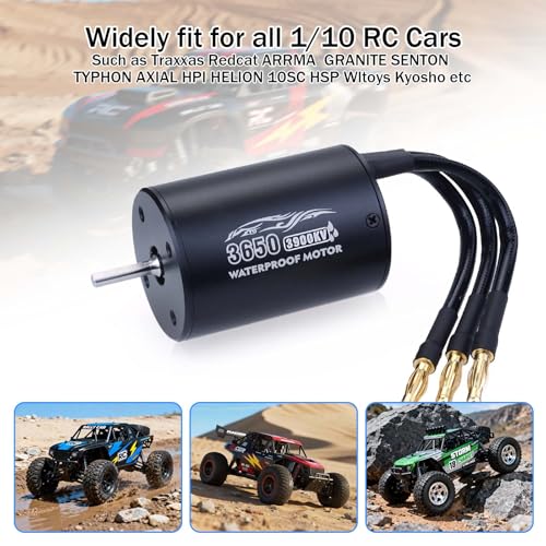 SurpassHobby 3650 3900KV 3.175mm Shaft High Speed Waterproof Motor for Most of 1:10 Scale RC Vehicles Truck Update Parts - size: 3900KV, style: 3650 Motor