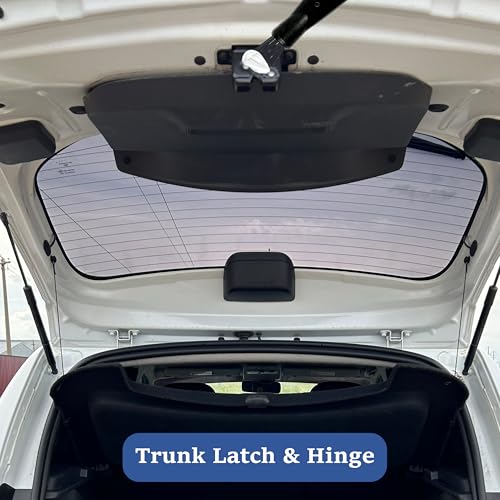 White Lithium Grease 3.53oz Automotive Lubricant 100g Multi-Purpose Car Door Hinge Handle Seat Slide Sunroof Sliding Door Track Rail Gear Prevent Rust Corrosion Lube for Garage Industrial 2pcs - size: 50 grams (2-Pack)