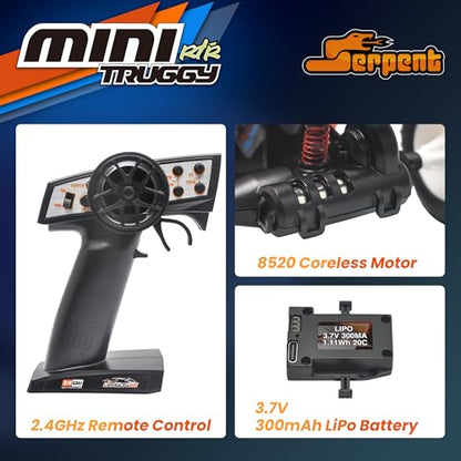 Serpent 1:24 Mini 2WD Truggy RTR, 1/24 Scale 2.4GHz Short Course Truck | All Terrain Off-Road Buggy RTR, High Performance with 1 Battery 1 USB Data Cable - style: 430003