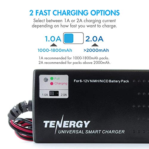 Tenergy Airsoft 8.4V 3800 mAh Flat NiMH Batteries - color: 2 pc batteries + Charger