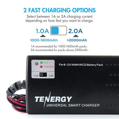 Tenergy Airsoft 8.4V 3800 mAh Flat NiMH Batteries - color: Battery + Charger