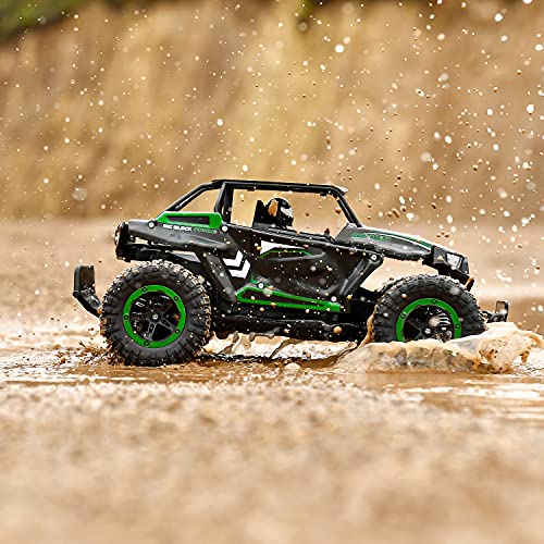 BEZGAR TB142 Remote Control Car - 1:14 RC Cars for Boys Kids and Adults | 2WD All-Terrains Electric Off-Road, 20 Km/h Vehicle Truck Crawler Toy with Two Rechargeable Batteries