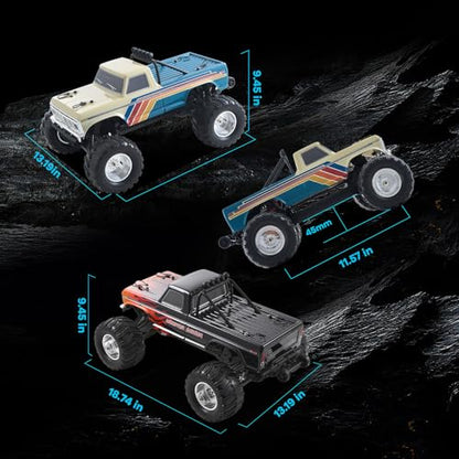 BEEZRC FMS RC Truck 1/10 Ford F-100 Brushless Officially Licensed, Monster Truck, 2WD High Speed Off-Road,RC Rock Crawler,Hobby Grade Remote Control Car for Adults RS no Battery (Blue) - color: Blue