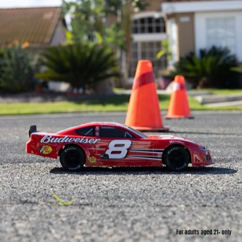 Losi 1/12 RC Racecar Dale Earnhardt Jr. No. 8 2025 Budweiser Chevrolet ZL1 2S AWD On-Road Asphalt Late Model (Battery & Charger Included), Red, LOS-3104T2 - color: Green