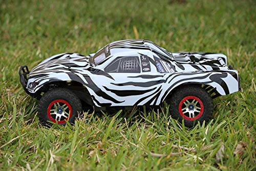SummitLink Compatible Custom Body Zebra Style Replacement for 1/10 Scale RC Car or Truck (Truck not Included) SS-Z-01