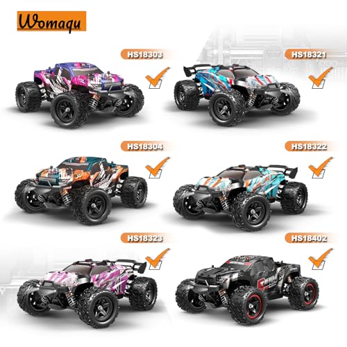 1:18 Scale RC Car Upgrade Accessories Metal Front Rear Dif Complete (2pcs), Upgrade Spare Parts RC Vehicle Differentials for 18323 18303 18321