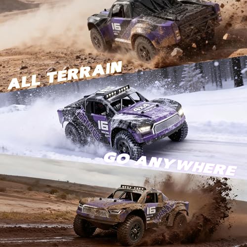 Remote Control RC Cars 1:16 Monster Truck Toys Cars for Adult & Boys, 4WD Off-Road, Metal Transmission Parts, High Speed Fast 40+ KPH, 4X4 Waterproof with 2 Rechargeable Batteries (HS16-83) - color: Purple