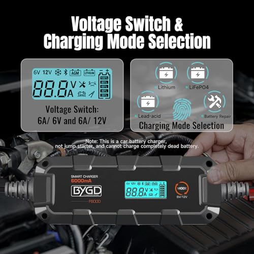 6A Car Battery Charger, 6V/12V Automative Trickle, Maintainer Battery Charger Desulfator with Temperature Compensation, LiFePO4 & Lead Acid Batteries for Motorcycle Lawn Mower Boat