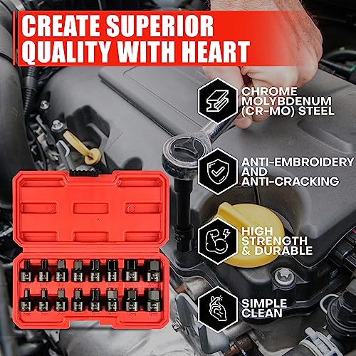 C&T 16 Piece 3/8-Inch Drive Low Profile Impact Hex Driver Set,SAE/Metric,1/4 Inch - 3/4 Inch, 6mm - 19mm, Cr-Mo Steel, Hex Bit Socket Set, Heavy Duty Storage Case