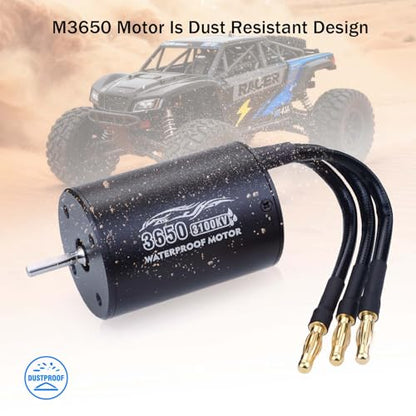 SurpassHobby 3650 3100KV 3.175mm Shaft High Speed Waterproof Motor for Most of 1:10 Scale RC Vehicles Truck Update Parts - size: 3100KV, style: 3650 Motor