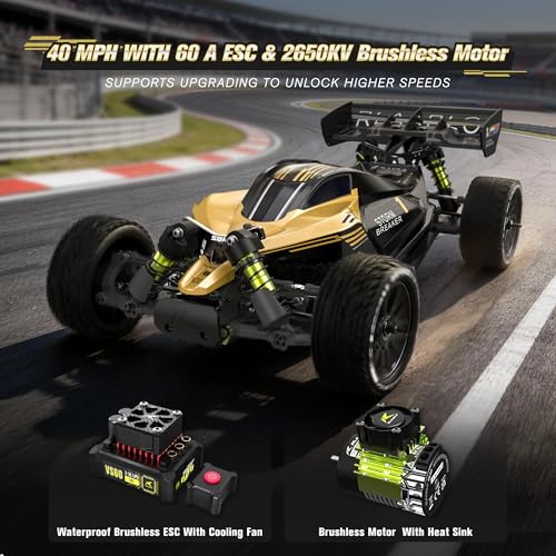 RIAARIO 1/10 Brushless RC Buggy with 2 * 2200 Battery
