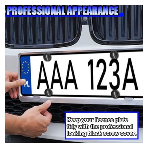 Rustproof Car License Plate Screw Kit, Stainless Steel Self Anti-Theft Anti-Rattle Tapping Mounting Bolts, Auto Fasteners for Securing License Plate Frames and Covers on Car Truck SUV (40PCS) - size: 40PCS