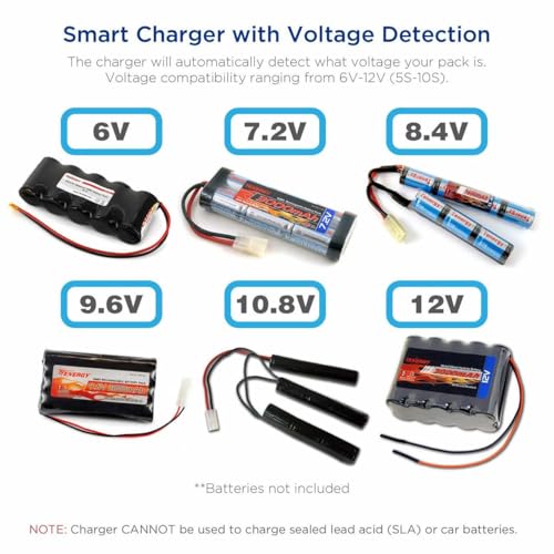Tenergy Universal Smart Charger for 6V-12V NiMH/NiCd Battery Packs - 2A Rapid RC Charger with Tamiya & Mini Tamiya Adapters
