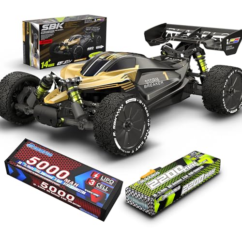 1/10 Brushless RC Buggy with 5000 Battery