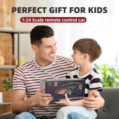MIEBELY 1/24 Licensed Lamborghini Sián FKP 37 RC Car LED Toy for Boys 6-12 | Officially licensed;2.4GHz control; dual rechargeable batteries; sturdy ABS; indoor/outdoor play; gift for boys & collectors - style: Lamboghini Sian