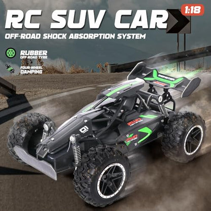 1/18 Scale High Speed RC Cars, 30KM/H 4WD Off-Road Remote Control Trucks for Adults and Kids Boys, All Terrain Truck Toys Gifts - style: 3063