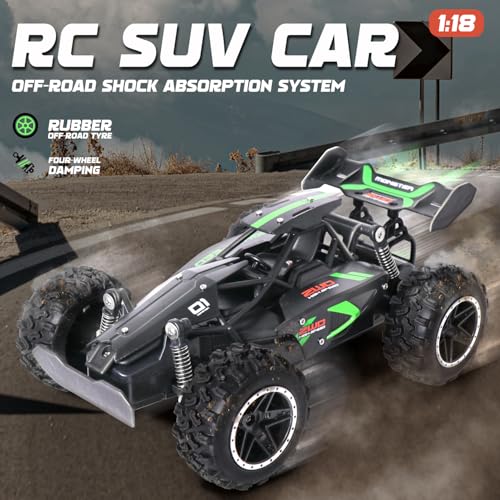 1/18 Scale High Speed RC Cars, 30KM/H 4WD Off-Road Remote Control Trucks for Adults and Kids Boys, All Terrain Truck Toys Gifts - style: 3063