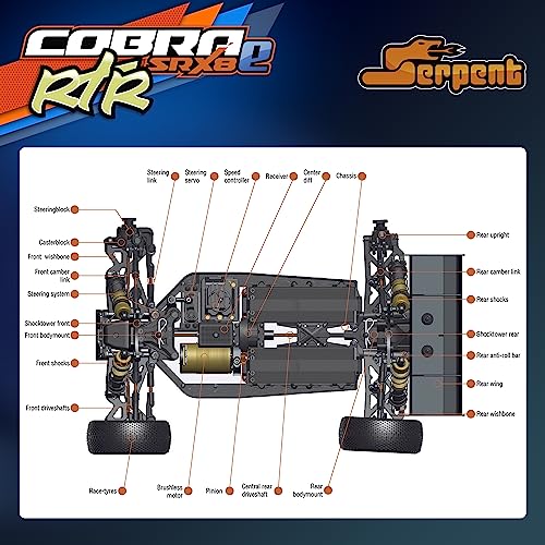 Serpent 1/8 4wd Electric Buggy RTR, 4WD Off-Road Buggy | High Performance, Waterproof, Components, Competition Grade, Hobby Racing, Charger and Battery Excluded, SRX8-E - color: Orange&blue