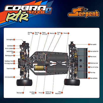 Serpent 1/8 4wd Electric Buggy RTR, 4WD Off-Road Buggy | High Performance, Waterproof, Components, Competition Grade, Hobby Racing, Charger and Battery Excluded, SRX8-E - color: Orange&blue