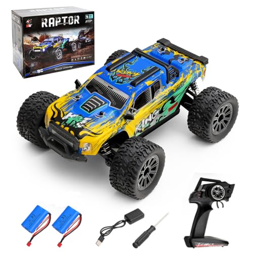 GoolRC WLtoys 164018 1/16 RC Car, 35KPH High Speed Remote Control Car, 2.4GHz 4WD All Terrain Off Road RC Truck with LED Light and 2 Batteries for Adults (Blue) - color: Blue