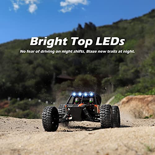 HAIBOXING 905 Protector 1:12 Scale RC Cars, Off-Road RC Buggy Hobby Grade | Aluminum Oil-Filled Shocks, Fast Remote Control Car 38 km/h, 2.4GHz Waterproof ESC, Perfect for Kids& Adults, Dual Batteries